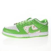 Nike SB Dunk Low Supreme Stars Mean Green (2021) - DH3228-101 - 5