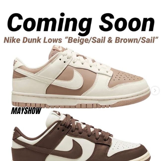 Sail And Light Brown Decorates The Nike Dunk Low Next Nature DD1873-200 - 1